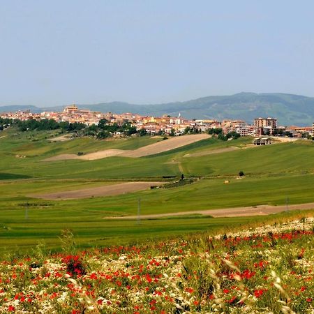 Alloggio Cattedrale Troia ภายนอก รูปภาพ