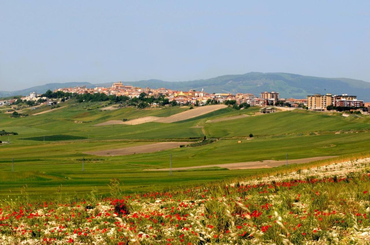 Alloggio Cattedrale Troia ภายนอก รูปภาพ
